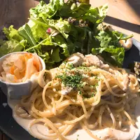 LIFE Seaの写真・動画_image_115473