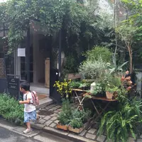 BROCANTEの写真・動画_image_115540