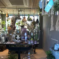DULTON JIYUGAOKAの写真・動画_image_115549