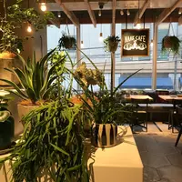 NAAK CAFEの写真・動画_image_115551