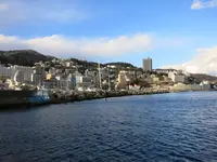 熱海遊覧船サンレモの写真・動画_image_115562