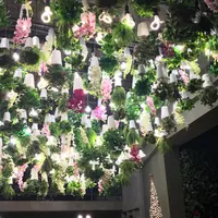 24"7の写真・動画_image_115592