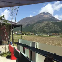 山椒郎の写真・動画_image_115734