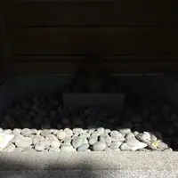 森戸神社の写真・動画_image_115773
