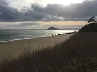 伊良湖岬自然散策路の写真・動画_image_115807