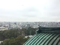 名古屋城の写真・動画_image_115812