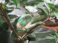 NIFREL（ニフレル）の写真・動画_image_115879