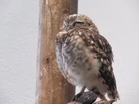 NIFREL（ニフレル）の写真・動画_image_115880