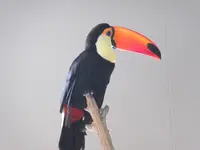 NIFREL（ニフレル）の写真・動画_image_115883