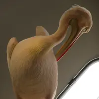 NIFREL（ニフレル）の写真・動画_image_115886