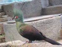 NIFREL（ニフレル）の写真・動画_image_115892