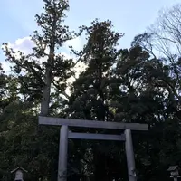 伊勢神宮外宮（豊受大神宮）の写真・動画_image_115967