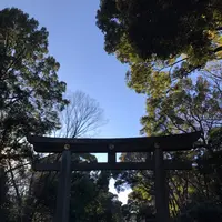明治神宮の写真・動画_image_116203