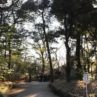 明治神宮の写真・動画_image_116205