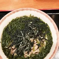 竹むらの写真・動画_image_116277