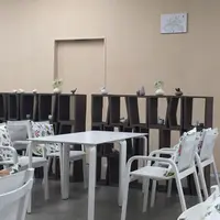 六花亭 札幌本店の写真・動画_image_116317