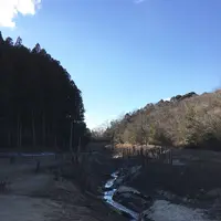 大正池の写真・動画_image_116384