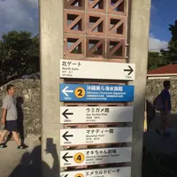 沖縄美ら海水族館の写真・動画_image_116451