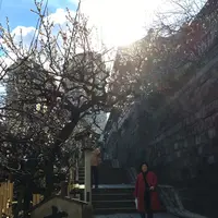 湯島天満宮（湯島天神）の写真・動画_image_116470