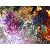 chiba seisakushoの写真・動画_image_116717