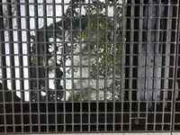 九重“夢”大吊橋の写真・動画_image_116812