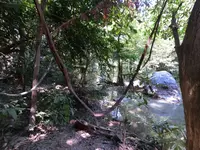 Erawan National Parkの写真・動画_image_116999