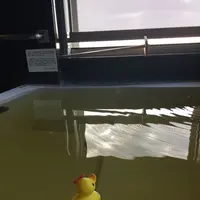 ホテルうみねの写真・動画_image_117029