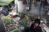 メークロン市場の写真・動画_image_117034