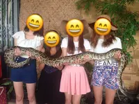 Damnoen Saduak Floating Market（ダムヌンサドアック水上マーケット）の写真・動画_image_117045