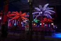 プーケット島の写真・動画_image_117068