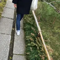 妙本寺の写真・動画_image_117178