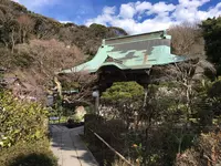 妙本寺の写真・動画_image_117179