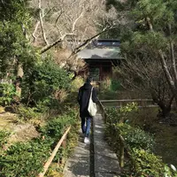 妙本寺の写真・動画_image_117180