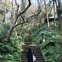 妙本寺の写真・動画_image_117181