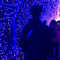 江の島シーキャンドルの写真・動画_image_117183