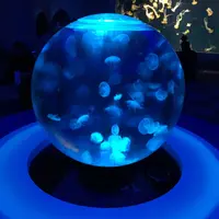 新江ノ島水族館の写真・動画_image_117195