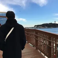 新江ノ島水族館の写真・動画_image_117196
