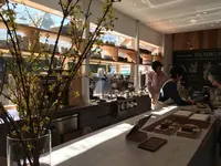 ダンデライオンの写真・動画_image_117202