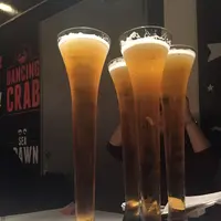 DANCING CRABの写真・動画_image_117625