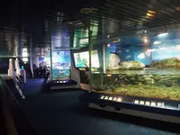 鴨川シーワールドの写真・動画_image_117663