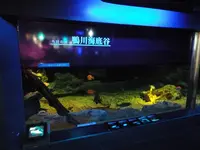 鴨川シーワールドの写真・動画_image_117667