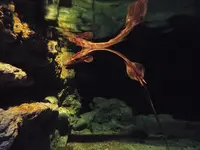 鴨川シーワールドの写真・動画_image_117673