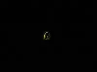 金山ダムの写真・動画_image_117685