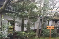 無鄰菴庭園の写真・動画_image_117881