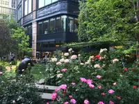 三菱一号館美術館の写真・動画_image_117907