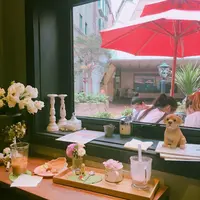 弘大Florte Flower Caféの写真・動画_image_118066