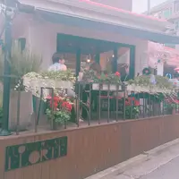 弘大Florte Flower Caféの写真・動画_image_118068