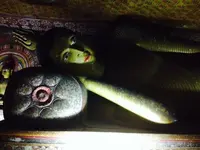 ダンブッラ石窟寺院の写真・動画_image_118209