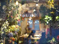 Offf botanical table オフ ボタニカルテーブルの写真・動画_image_118275