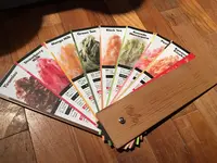 KAKIGORI CAFE&BAR yeloの写真・動画_image_118325